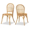 Simple Rattan Dining Chair Set (2 pcs)