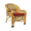 Curved Rattan Lounge Chair