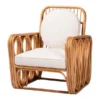 Premium Loop-Design Rattan Armchai