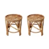 Round Rattan Stool (Set of 2)