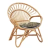Peacock-Style Rattan Accent Chai