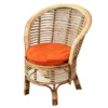 Rattan Barrel Chair with Cushion