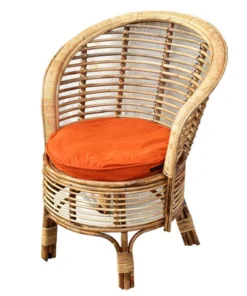 Rattan Barrel Chair with Cushion