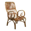 Designer Loop-Arm Rattan Chair