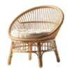 Round Back Rattan Accent Chair