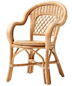Curved Arm Rattan Dining/Accent Chair