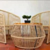 Minimal Rattan Lounge Set