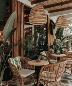 Curved Back Rattan Café Chair