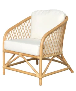 Cushioned Rattan Armchair